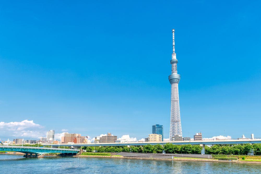 東京でおすすめできる歯医者の選び方｜歯科医院の種類についても解説します