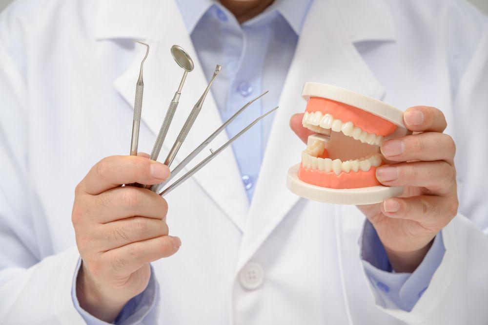 歯の定期健診は行くべき？メリットや受診内容、かかる費用など詳しく解説