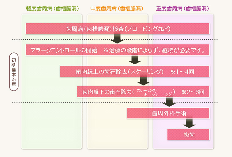 歯周病治療の流れ