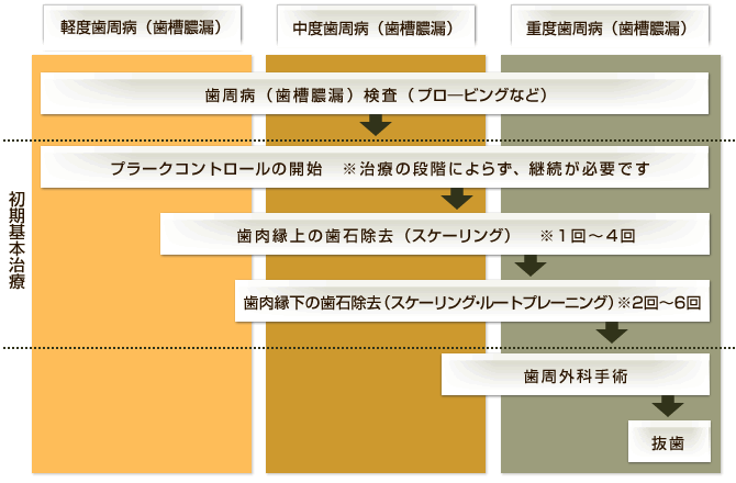 歯周病（歯槽膿漏）治療の流れ